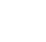 Vector